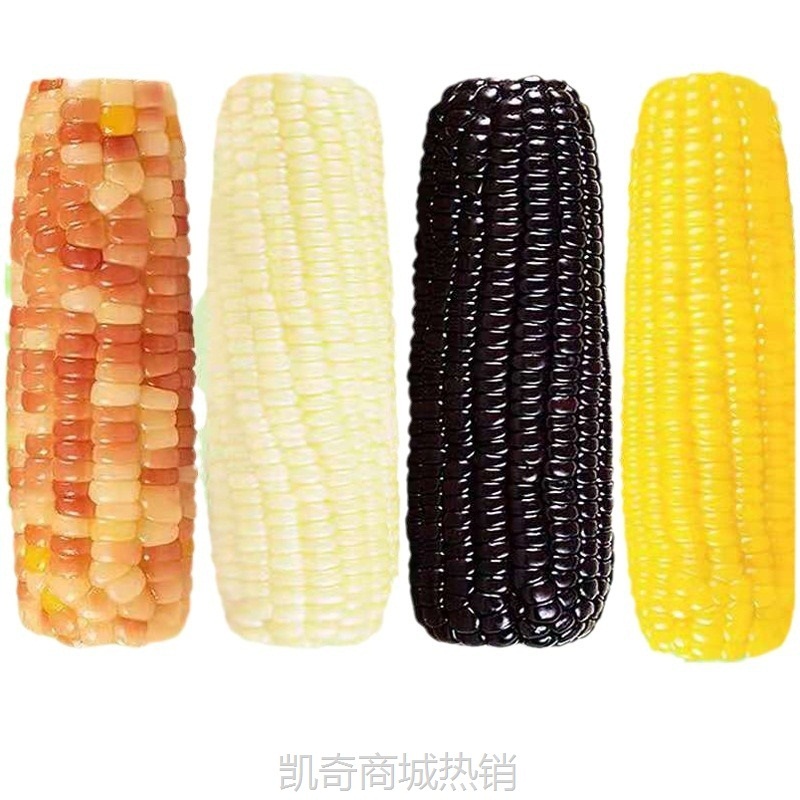 念初好物糯玉米棒子即食批发真空装整箱10根甜玉米一件代