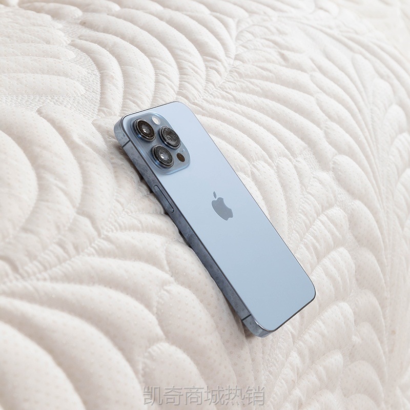 【首单1元】2024新款加厚牛奶绒沙发垫子四季通用现代简约防滑轻奢高端防猫抓