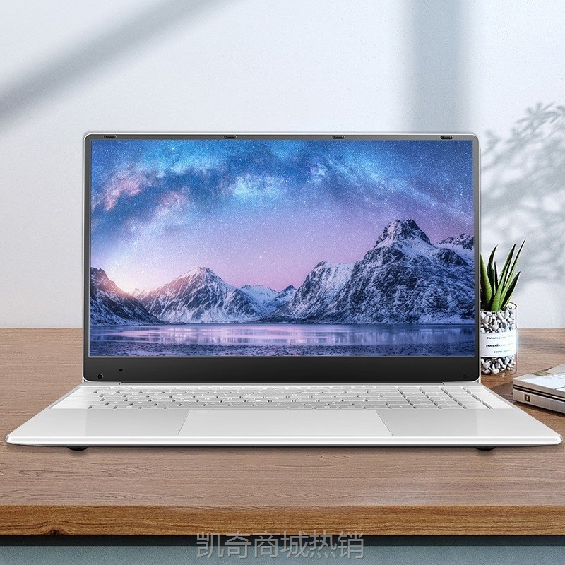 【首单399】厂家热销 14.1 英寸 N4020 Windows11Pro 轻薄笔记本电脑