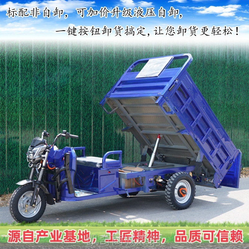【♥首购299元♥】工程栏板2米三轮可配油电两用增程器家用代步同城送货电动车