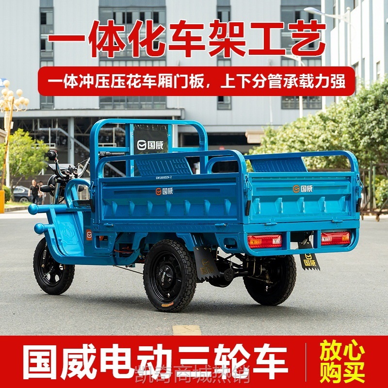 【♥首购299元♥】国威电动三轮车拉货货车载重王成人家用快递车农用厂家批发三蹦子