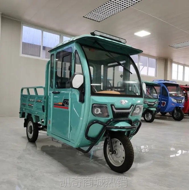 【♥首购299元♥】定制三轮车48V电动货车成人代步载货王拉货快递家用载重三轮车