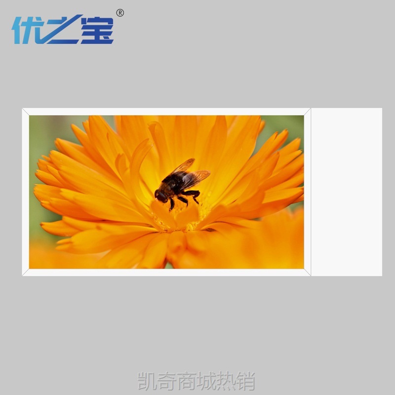 【♥首购299元♥】43/49/55寸银行双面橱窗广告机/吊挂显示屏/多媒体信息发布一体机