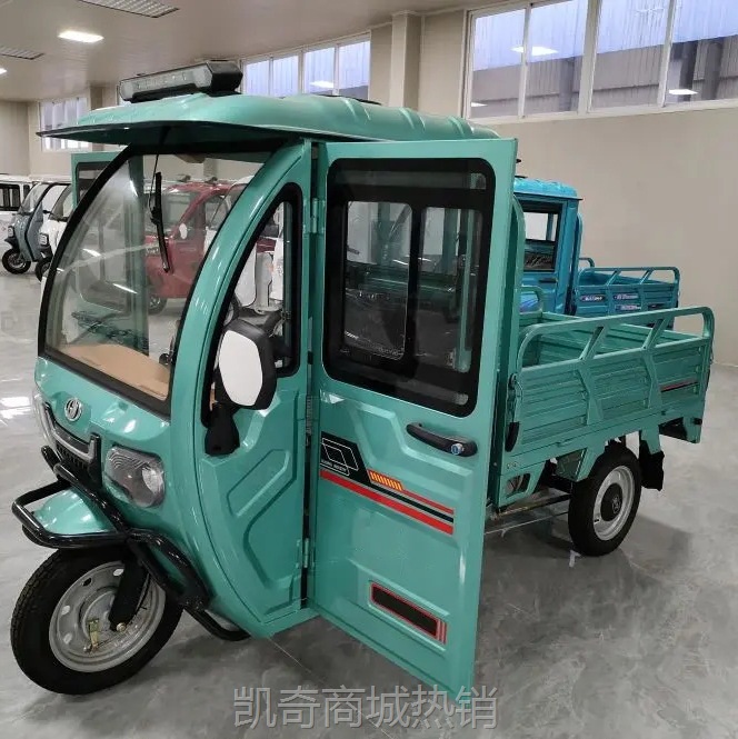 【♥首购299元♥】定制三轮车48V电动货车成人代步载货王拉货快递家用载重三轮车