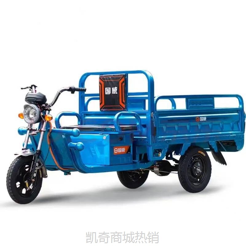 【♥首购299元♥】国威品牌电动三轮车拉货农用载重Electric Tricycle货运家用三轮