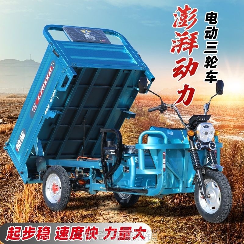 【♥首购299元♥】电动三轮车拉货载重爬坡新款家用国标电瓶车农用电瓶车