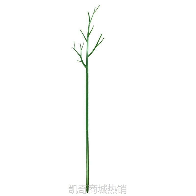 文竹支撑架植物固定防倒伏龟背竹支撑杆绿萝爬藤花架支架园艺造型