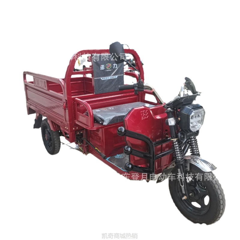 短途家用代步三轮电瓶车小型农用拉货载货三轮电动车送货专用电动