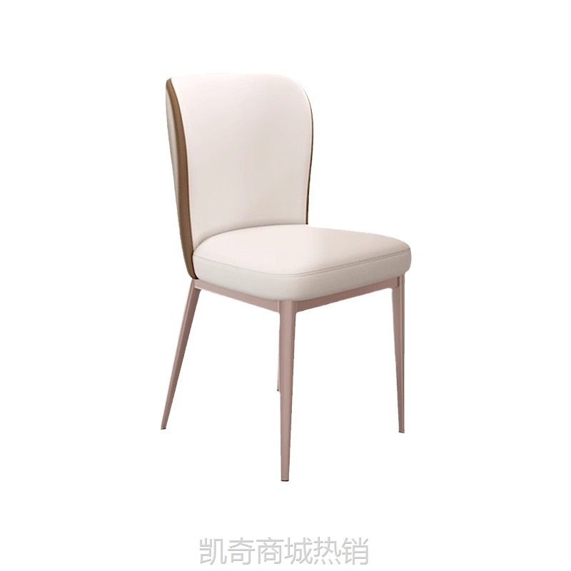 现代简约餐椅家用轻奢餐桌椅子网红2024新款靠背小户型高级感凳子