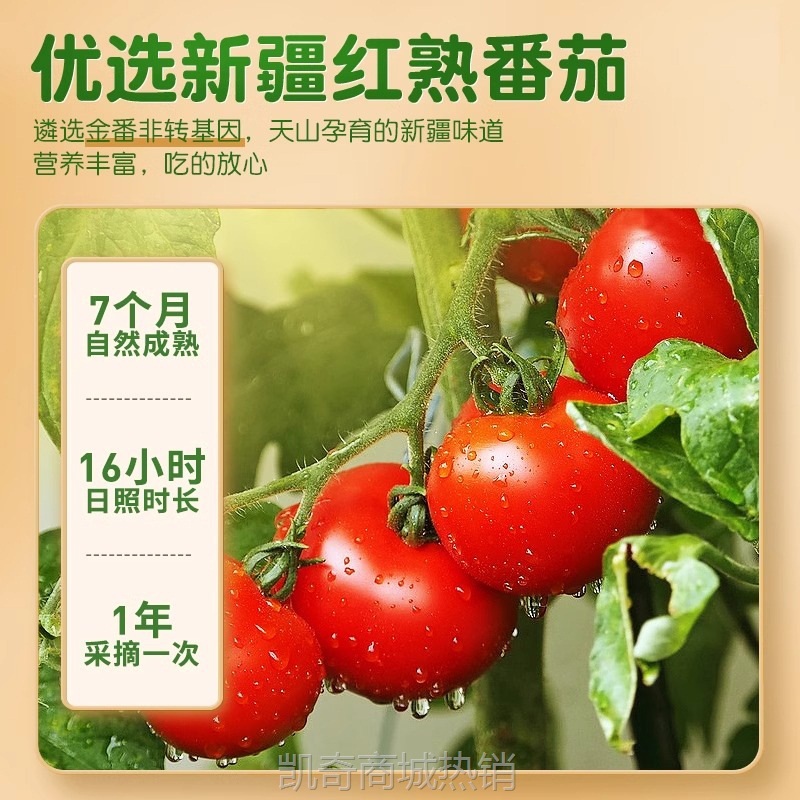半球红新疆番茄酱无添加西红柿膏儿童家商用意面煮汤调料罐头批发