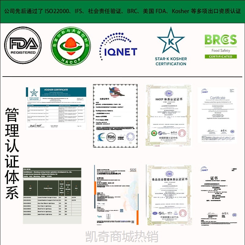ODM代加工568g水果把杯罐头节日送礼包黄桃罐头整箱装线下商超款