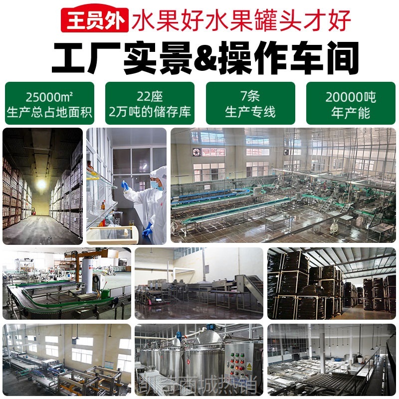 ODM代加工568g水果把杯罐头节日送礼包黄桃罐头整箱装线下商超款