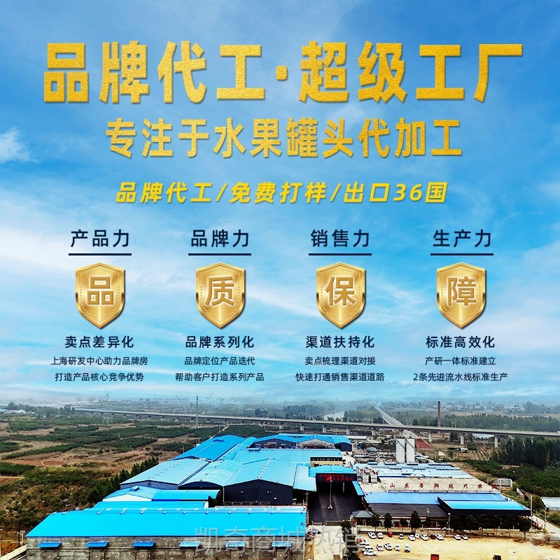 ODM代加工568g水果把杯罐头节日送礼包黄桃罐头整箱装线下商超款
