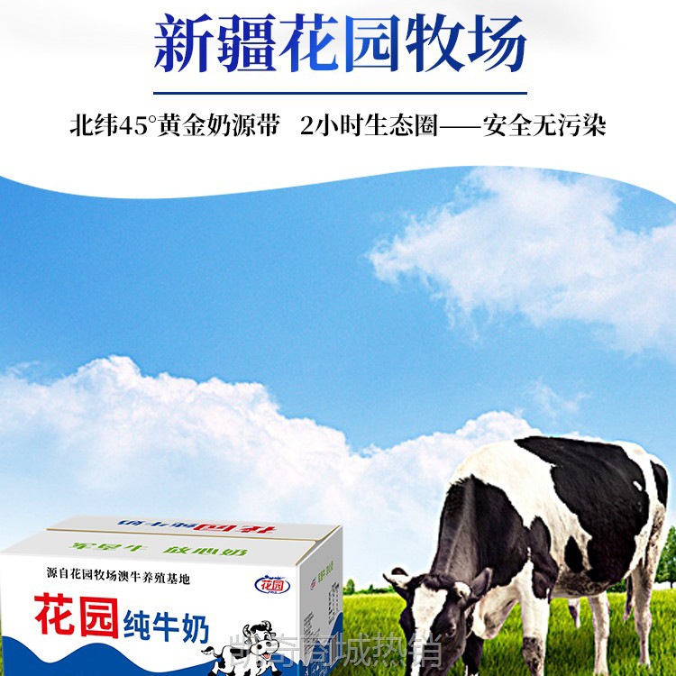 【花园代理】新疆石河子花园纯牛奶百利包200ml*20袋装整箱批发