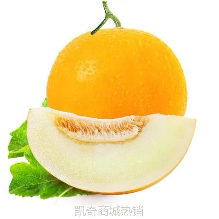 【新品】正宗民勤黄河蜜瓜黄金蜜瓜黄皮白肉牛奶蜜瓜新鲜水果整箱