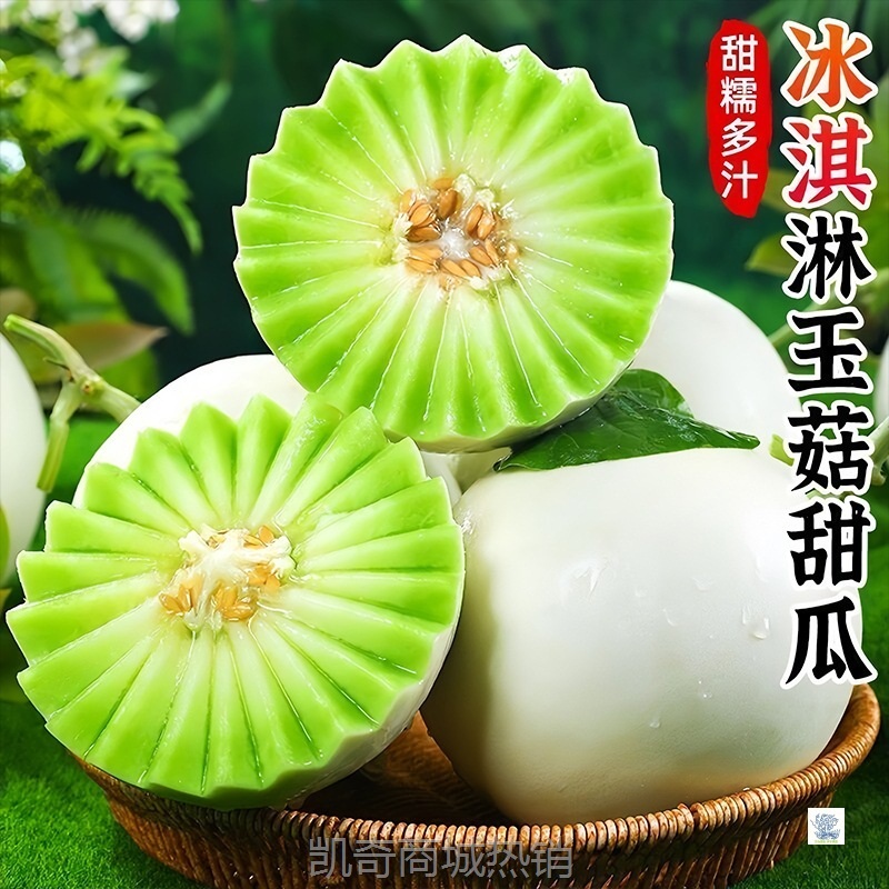 山东玉菇甜瓜新鲜水果整箱包邮应当季蜜瓜香瓜冰淇淋脆甜瓜白瓜