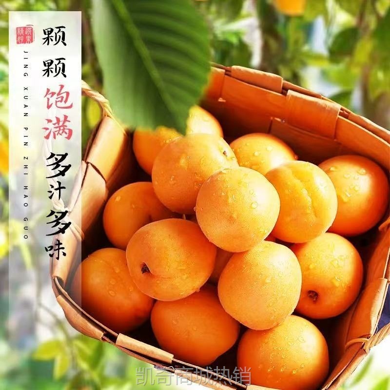 当季新鲜大黄杏应季新鲜水果酸甜杏子金太阳当季整箱时令包邮批发