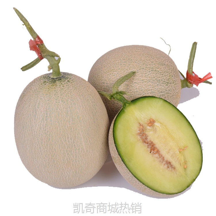 海阳正宗网纹蜜瓜 新鲜水果当季甜瓜香甜软糯哈密瓜 非海南玫珑瓜