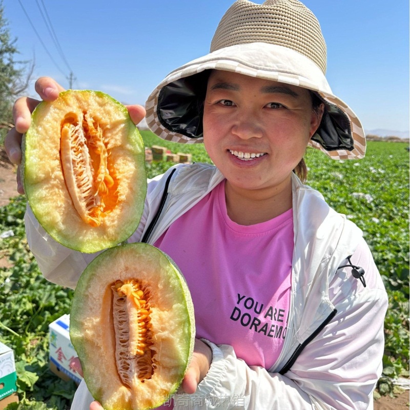 正宗新疆哈密瓜西州蜜25号新鲜水果应季现摘甜瓜网纹新疆直发代发