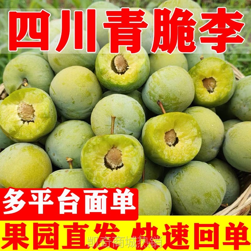 四川青脆李脱骨李子新鲜水果酸甜脆爽清脆李汶川李子翠李空心李子