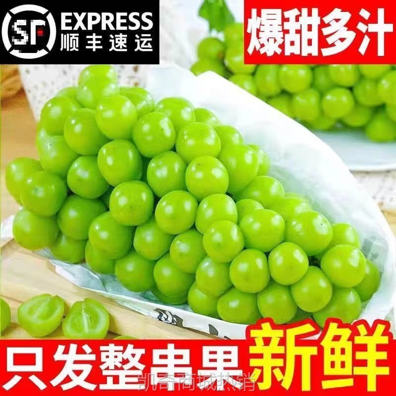 阳光玫瑰葡萄新鲜水果批发应季孕妇青提晴王提子橄榄
