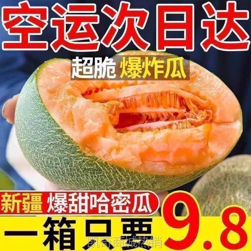 正宗新疆哈密瓜西州蜜号吐鲁番网纹甜瓜新鲜水果应当季整箱斤