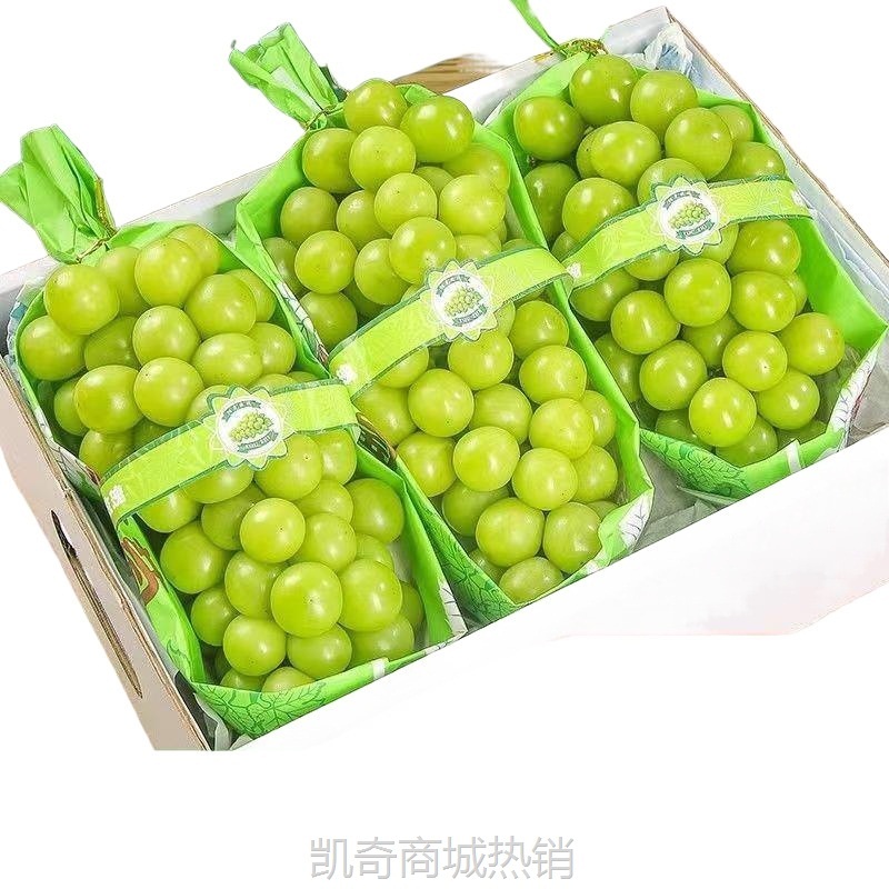 阳光玫瑰葡萄新鲜水果批发应季孕妇青提晴王提子橄榄