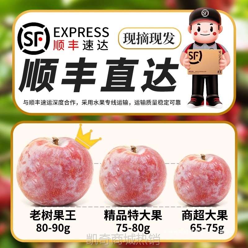 顺丰礼盒 5斤红心三华李新鲜李子水果桃形李孕妇芙蓉李包邮整箱大