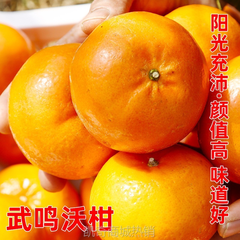 广西武鸣沃柑10斤新鲜水果当季整箱一级沙糖蜜橘砂糖柑橘橘子桔子