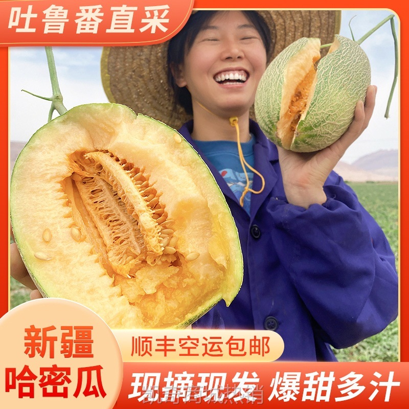 正宗新疆哈密瓜吐鲁番西州蜜25号当应季新鲜水果网纹甜瓜整箱包邮