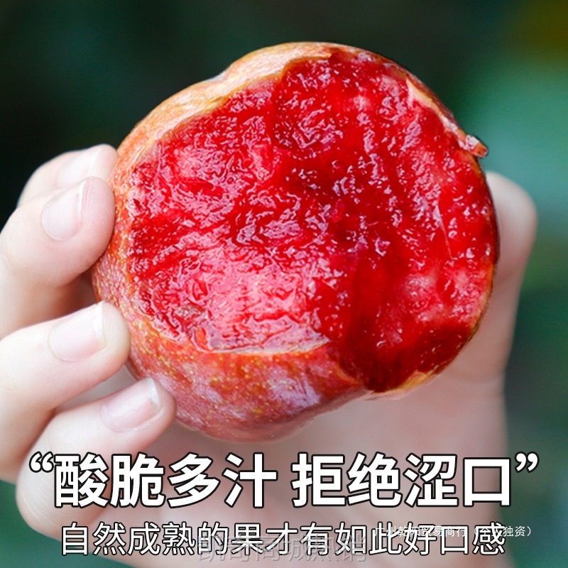 顺丰礼盒 5斤红心三华李新鲜李子水果桃形李孕妇芙蓉李包邮整箱大