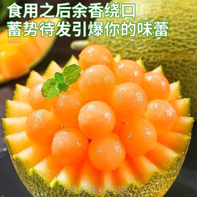 海南哈密瓜玫珑蜜瓜当季新鲜冰淇淋网纹瓜新疆吐鲁番新鲜直发
