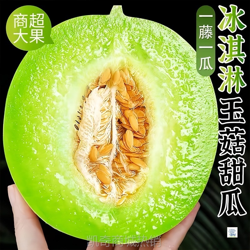 山东玉菇甜瓜新鲜水果整箱包邮应当季蜜瓜香瓜冰淇淋脆甜瓜白瓜