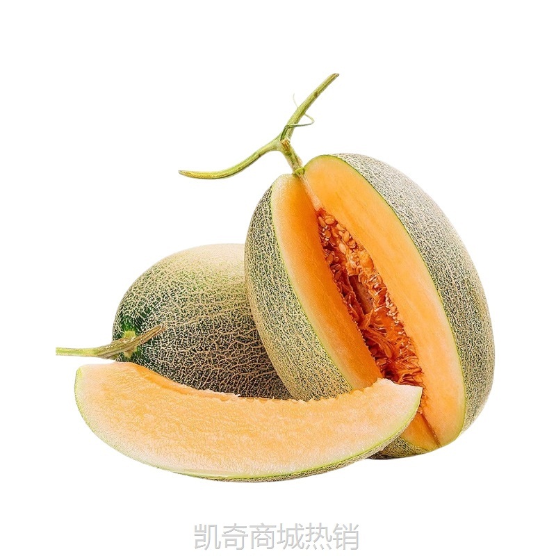 正宗新疆哈密瓜西州蜜25号新鲜水果应季现摘甜瓜网纹新疆直发代发