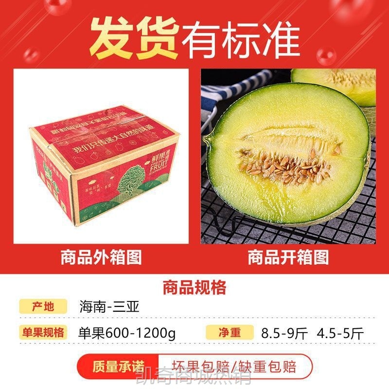 海南网纹蜜瓜冰淇淋玫珑瓜香甜瓜哈密瓜白瓜新鲜产地直发