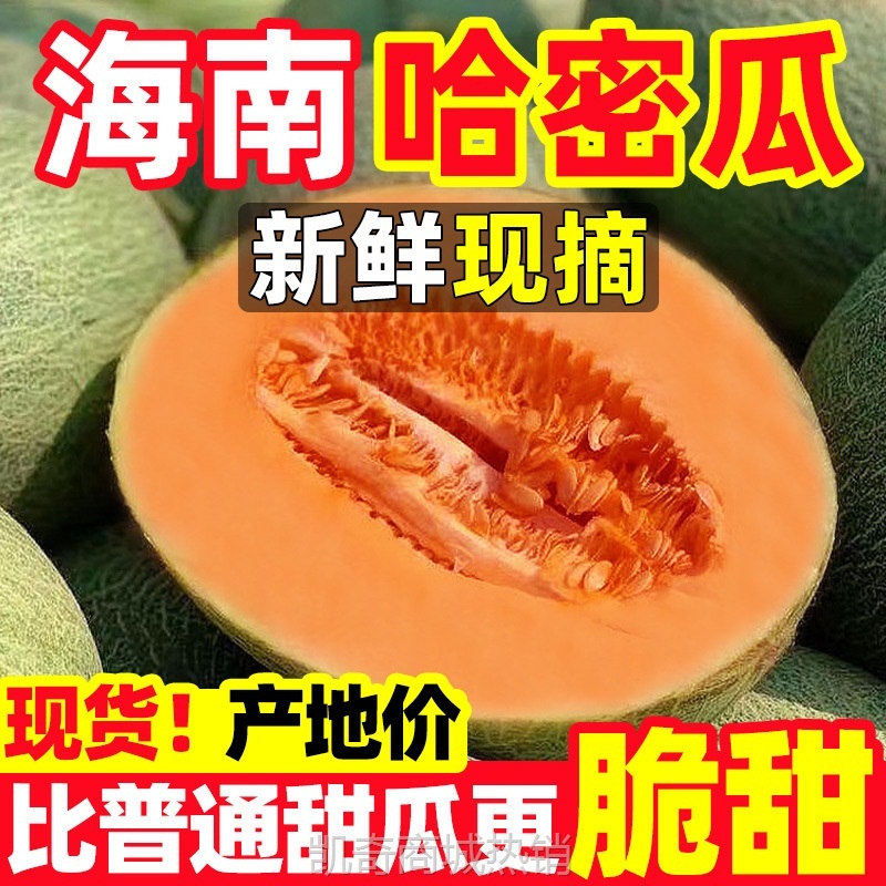 正宗海南哈密瓜玫珑蜜瓜当季新鲜冰淇淋网纹瓜新疆吐鲁番哈蜜瓜