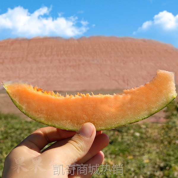 正宗新疆哈密瓜吐鲁番西州蜜25号当应季新鲜水果网纹甜瓜整箱包邮