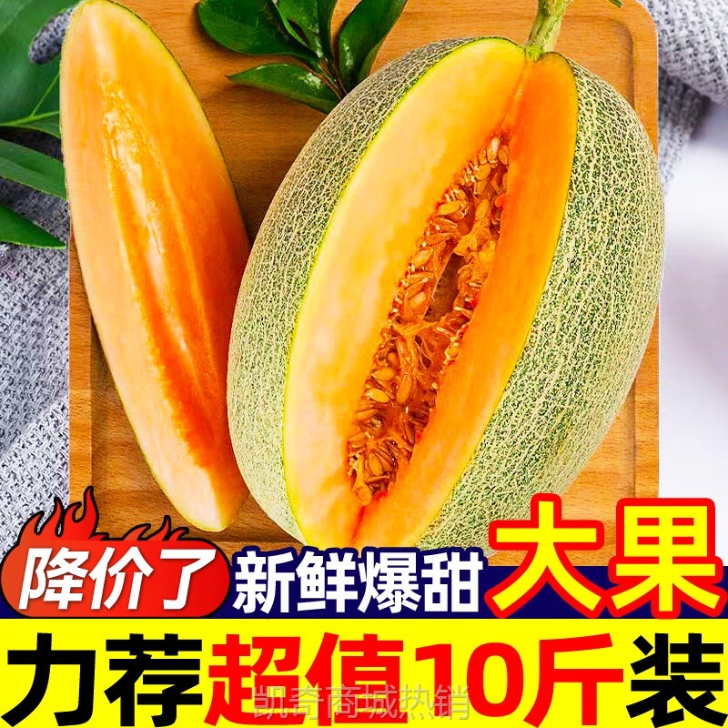 正宗新疆吐鲁番哈密瓜10斤西州蜜网纹瓜甜瓜香瓜蜜瓜新鲜当季水果