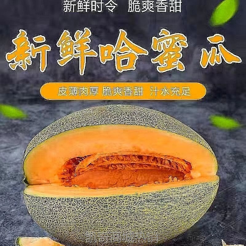 【航空新疆直发】正宗吐鲁番火焰山西州蜜25号哈密瓜新鲜软糯多汁