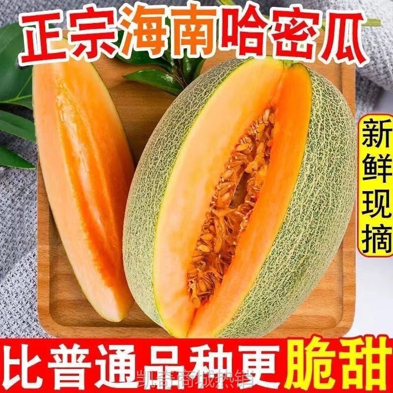 海南哈密瓜玫珑蜜瓜当季新鲜冰淇淋网纹瓜新疆吐鲁番新鲜直发