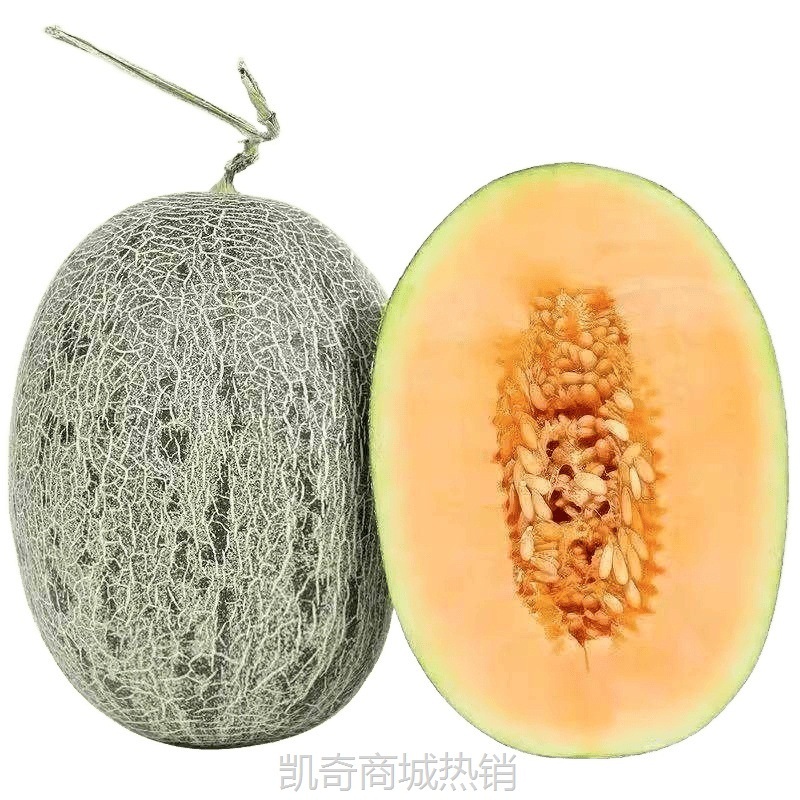 正宗新疆哈密瓜西州蜜号吐鲁番网纹甜瓜新鲜水果应当季整箱斤