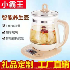 养生壶家用煮茶器分体多功能煎药壶 保健养生 花茶壶玻璃电热水壶