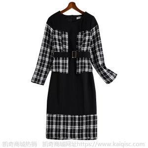 大码女装长袖连衣裙春装2021新款气质显瘦胖妹妹m假两件裙子10828