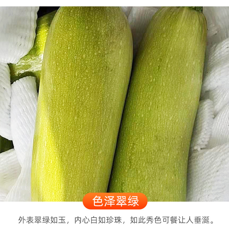 璇︽儏椤礯05