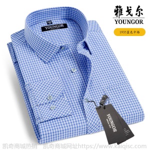清仓正品雅戈尔长袖衬衫男士中年休闲职业正装免烫条纹纯色白衬衣