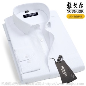 清仓正品雅戈尔长袖衬衫男士中年休闲职业正装免烫条纹纯色白衬衣