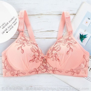 小胸聚拢文胸女士内衣女薄款无钢圈胸罩绣花收副乳调整透气美背
