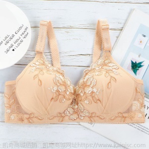 小胸聚拢文胸女士内衣女薄款无钢圈胸罩绣花收副乳调整透气美背