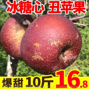 【批发价】正宗冰糖心丑苹果水果新鲜当季红富士脆甜10/5斤整箱