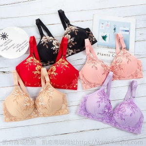 小胸聚拢文胸女士内衣女薄款无钢圈胸罩绣花收副乳调整透气美背
